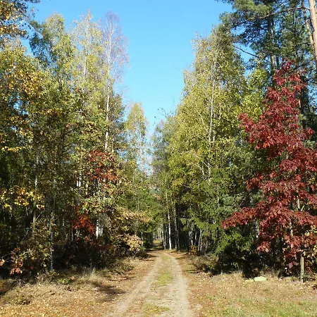 Ferienhaus Tomaszowka - Na Kaszubach