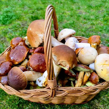 Tomaszowka - Na Kaszubach Feriehus *