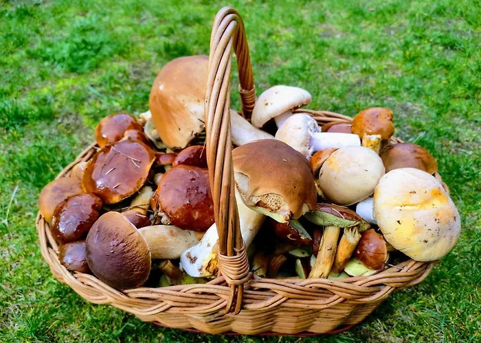 Tomaszowka - Na Kaszubach בית נופש *